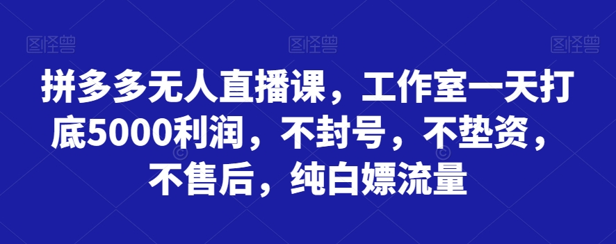 拼多多无人直播课，工作室一天打底5000利润，不封号，不垫资，不售后，纯白嫖流量-<a href=