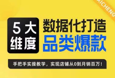 5大维度，数据化打造电商品类爆款特训营，一套高效运营爆款方法论-<a href=