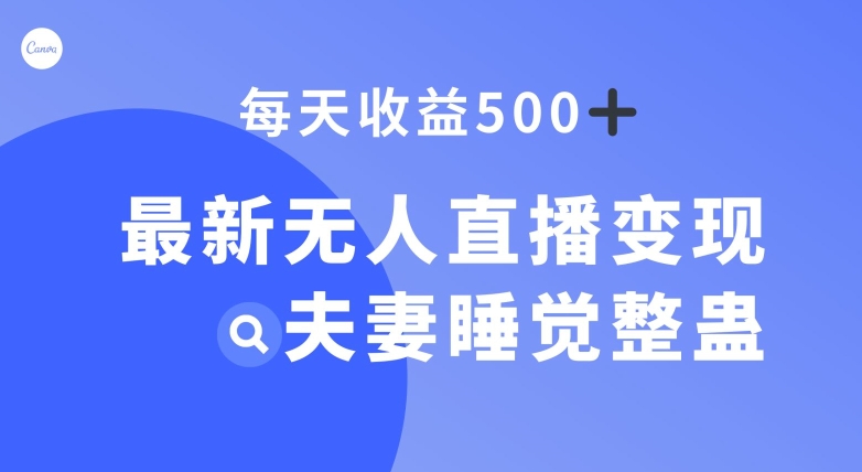 最新无人直播变现，夫妻睡觉整蛊，每天躺赚500+【揭秘】-<a href=
