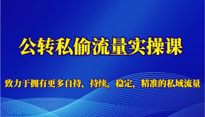 公转私偷流量实操课，致力于拥有更多自持，持续，稳定，精准的私域流量-<a href=