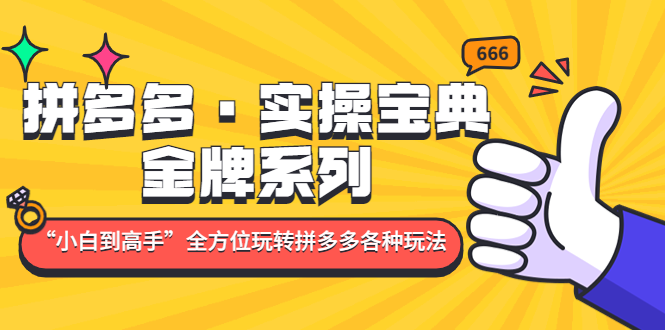 （4934期）拼多多·实操宝典：金牌系列“小白到高手”带你全方位玩转拼多多各种玩法-<a href=