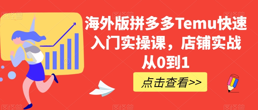 海外版拼多多Temu快速入门实操课，店铺实战从0到1-<a href=