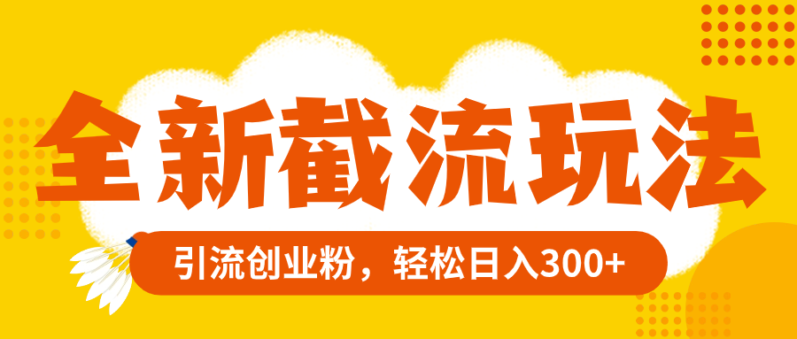 （8025期）全新截流玩法，精准引流创业粉，轻松日入300+-<a href=