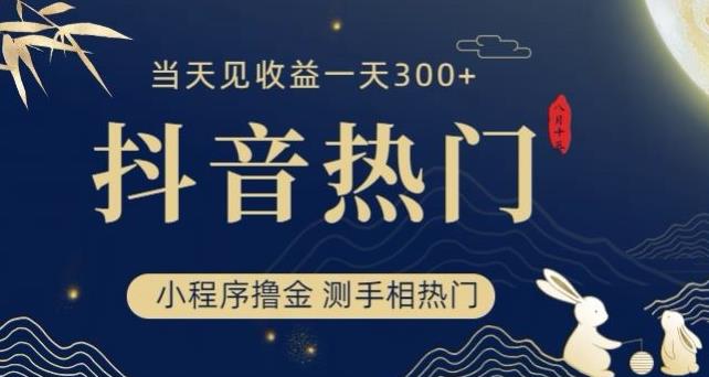 抖音最新小程序撸金，测手相上热门，当天见收益一小时变现300+【揭秘】-<a href=