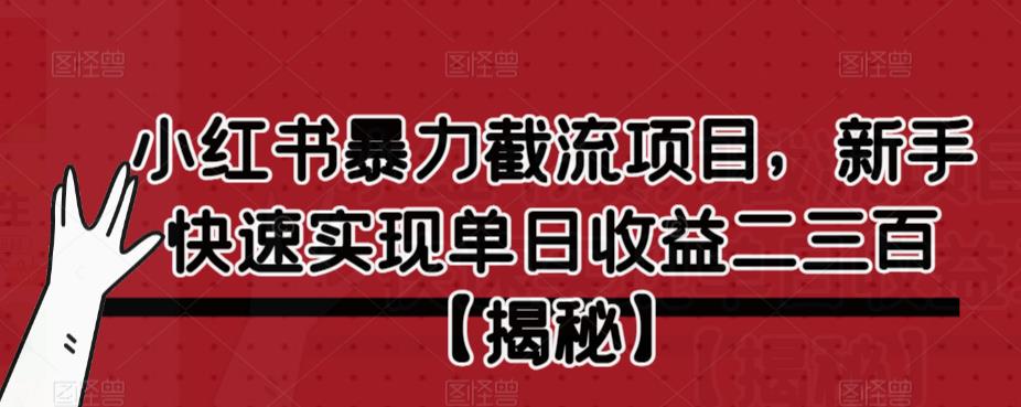 小红书暴力截流项目，新手快速实现单日收益二三百【仅揭秘】-<a href=
