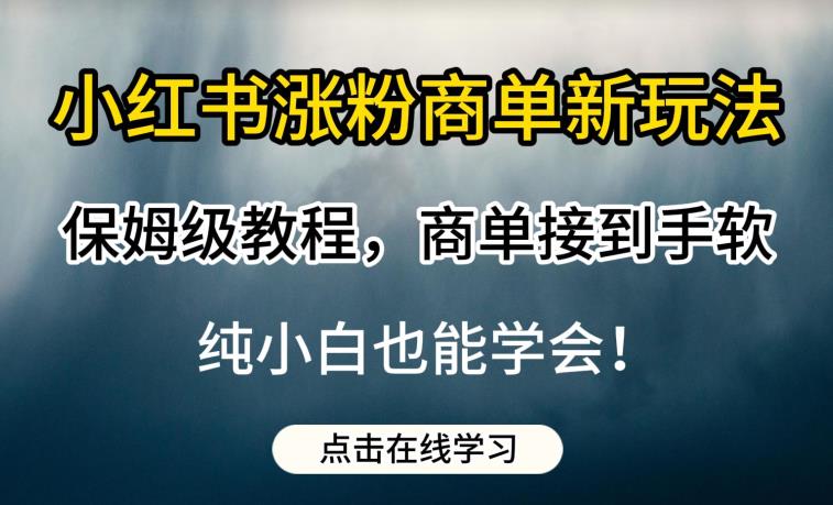 小红书涨粉商单新玩法，保姆级教程，商单接到手软，纯小白也能学会【揭秘】-<a href=