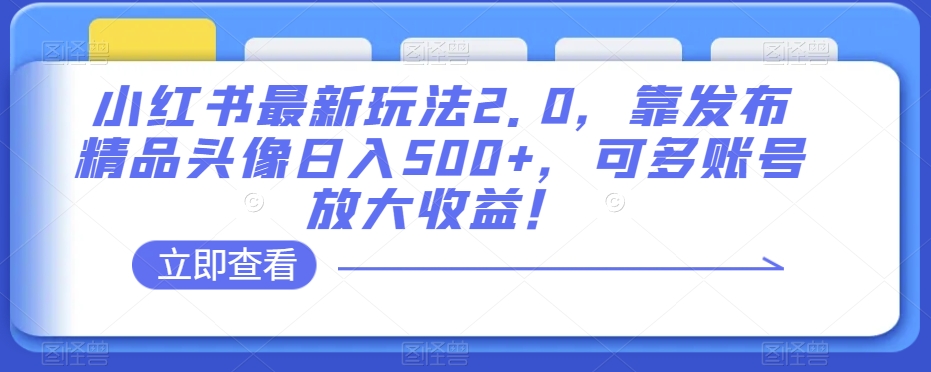小红书最新玩法2.0，靠发布精品头像日入500+，可多账号放大收益！【揭秘】-<a href=