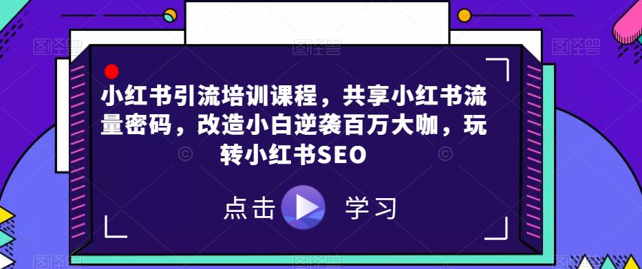 小红书引流培训课程，共享小红书流量密码，改造小白逆袭百万大咖，玩转小红书SEO-<a href=