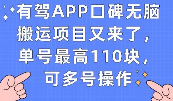有驾APP口碑无脑搬运项目又来了，单号最高110块，可多号操作-<a href=