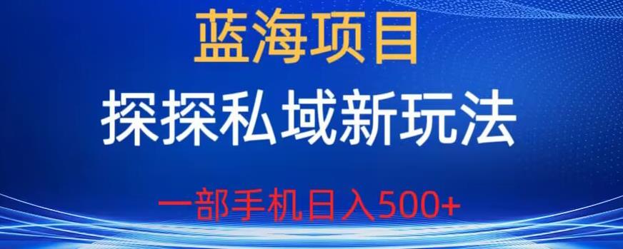 蓝海项目，探探私域新玩法，一部手机日入500+很轻松【揭秘】-<a href=