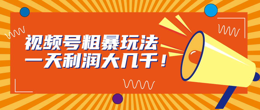 （6941期）视频号粗暴玩法，一天利润大几千！-<a href=
