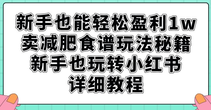 新手也能轻松盈利1w，卖减肥食谱玩法秘籍，新手也玩转小红书详细教程【揭秘】-<a href=