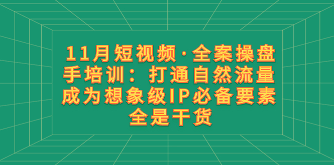 （8182期）11月短视频·全案操盘手培训：打通自然流量 成为想象级IP必备要素 全是干货-<a href=