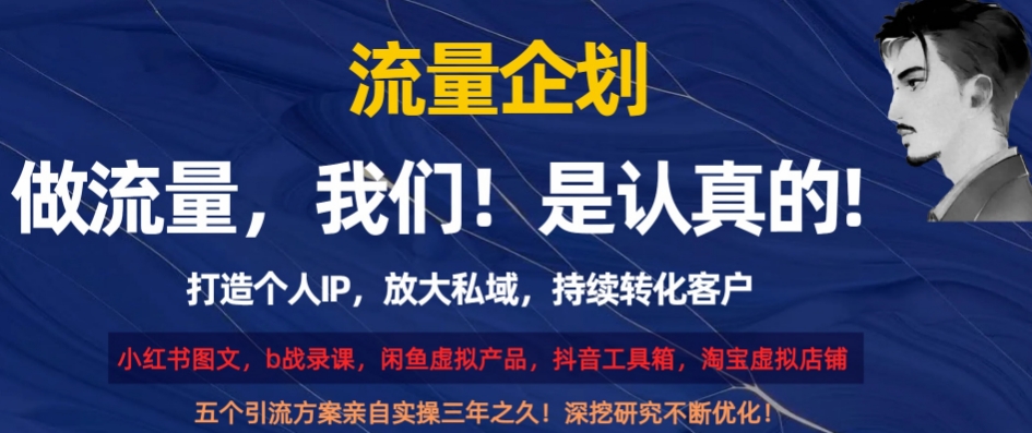 流量企划，打造个人IP，放大私域，持续转化客户【揭秘】-<a href=