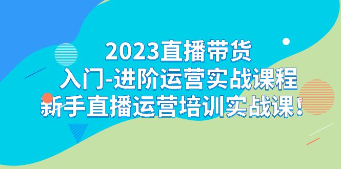 2023直播带货入门-进阶运营实战课程：新手直播运营培训实战课-<a href=