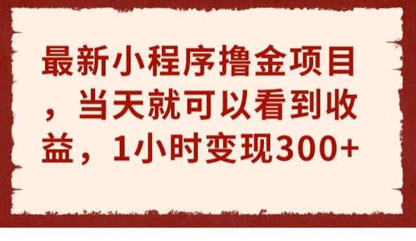 最新小程序撸金项目，当天就可以看到收益，1小时变现300+【揭秘】-<a href=
