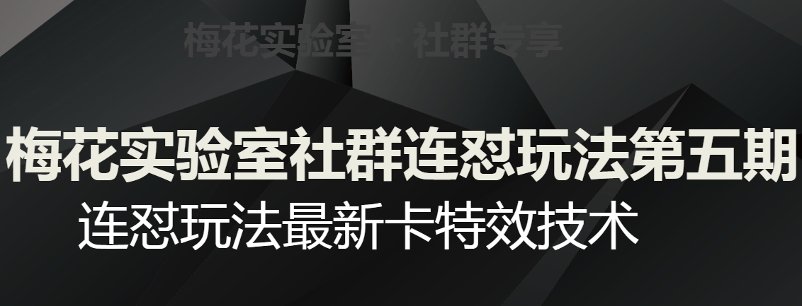 梅花实验室社群连怼玩法第五期，视频号连怼玩法最新卡特效技术-<a href=
