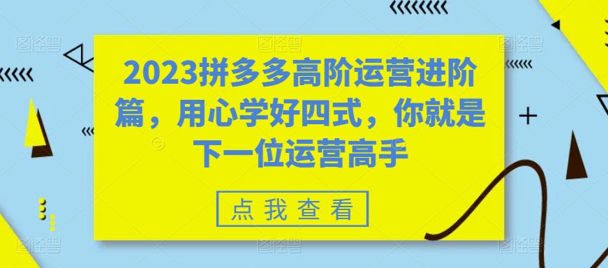 （6193期）2023拼多多高阶运营进阶篇，用心学好四式，你就是下一位运营高手-<a href=