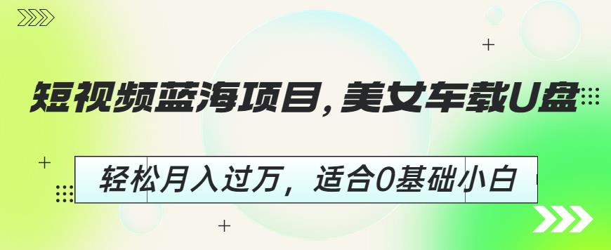 短视频蓝海项目，美女车载U盘，轻松月入过万，适合0基础小白【揭秘】-<a href=
