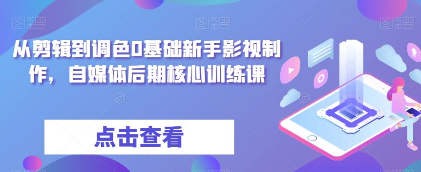 从剪辑到调色0基础新手影视制作，自媒体后期核心训练课-<a href=
