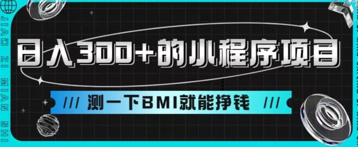 日入300+的小程序项目，测一下BMI就能挣钱【揭秘】-<a href=
