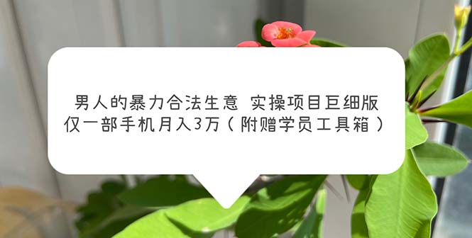 （5962期）男人的暴力合法生意实操项目巨细版：仅一部手机月入3w（附赠学员工具箱）-<a href=