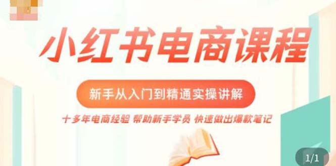 （5049期）小红书电商新手入门到精通实操课，从入门到精通做爆款笔记，开店运营-<a href=