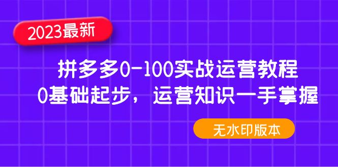 （4835期）2023拼多多0-100实战运营教程，0基础起步，运营知识一手掌握（无水印）-<a href=