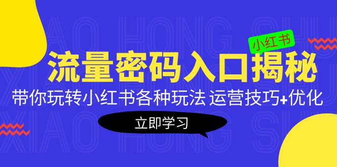 （5179期）小红书流量密码入口揭秘：带你玩转小红书各种玩法 运营技巧+优化！-<a href=