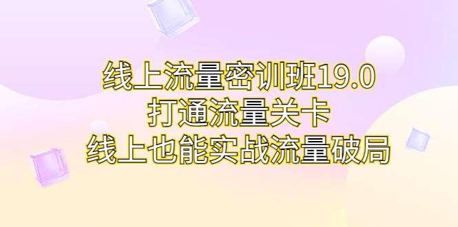 线上流量密训班19.0，打通流量关卡，线上也能实战流量破局-<a href=
