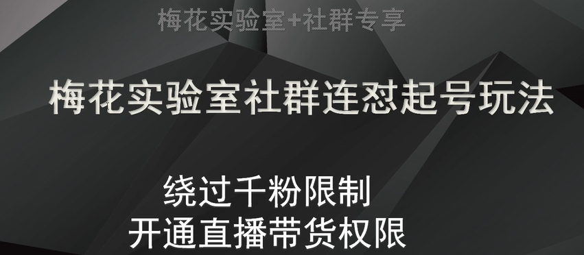 梅花实验室社群连怼起号玩法，视频号绕过千粉限制，开通直播带货权限【揭秘】-<a href=
