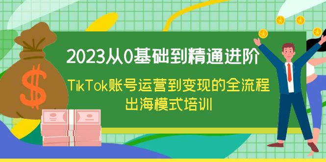 （6299期）2023从0基础到精通进阶，TikTok账号运营到变现的全流程出海模式培训-<a href=