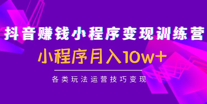 （4511期）抖音赚钱小程序变现训练营：小程序月入10w+各类玩法运营技巧变现-<a href=