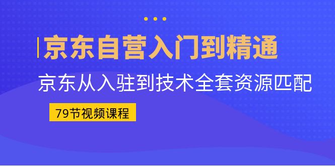 （6901期）京东自营入门到精通：京东从入驻到技术全套资源匹配（79节课）-<a href=