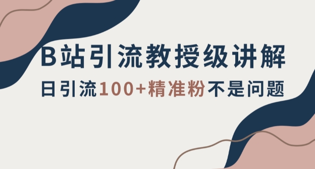 B站引流教授级讲解，细节满满，日引流100+精准粉不是问题【揭秘】-<a href=