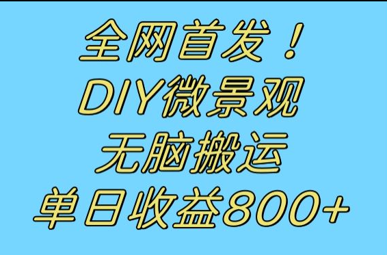 全网首发冷门赛道！DIY微景观，无脑搬运视频，日收益800+-<a href=