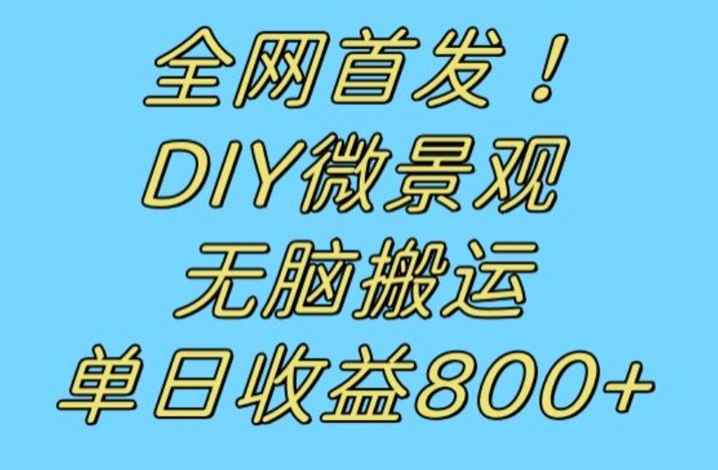 全网首发冷门赛道！DIY微景观，无脑搬运视频，日收益800+【揭秘】-<a href=