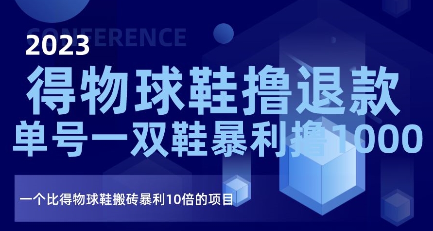 2023得物球鞋撸退款，单号一双鞋暴利撸1000，一个比得物球鞋搬砖暴利10倍的项目【揭秘】-<a href=