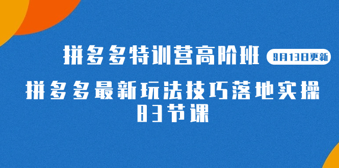 （7295期）2023拼多多·特训营高阶班【9月13日更新】拼多多最新玩法技巧落地实操-83节-<a href=