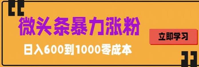 （5950期）微头条暴力涨粉技巧搬运文案就能涨几万粉丝，简单0成本，日赚600-<a href=