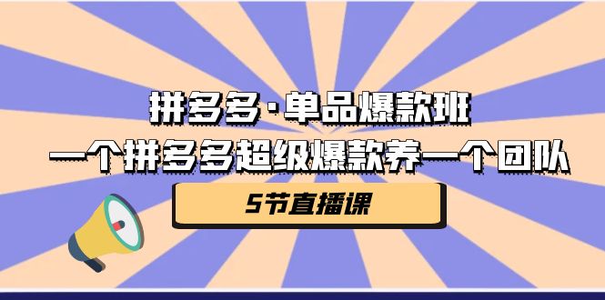 （7019期）拼多多·单品爆款班，一个拼多多超级爆款养一个团队（5节直播课）-<a href=