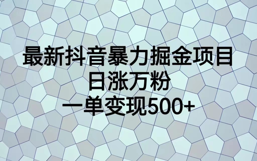 最新抖音暴力掘金项目，日涨万粉，一单变现500+-<a href=