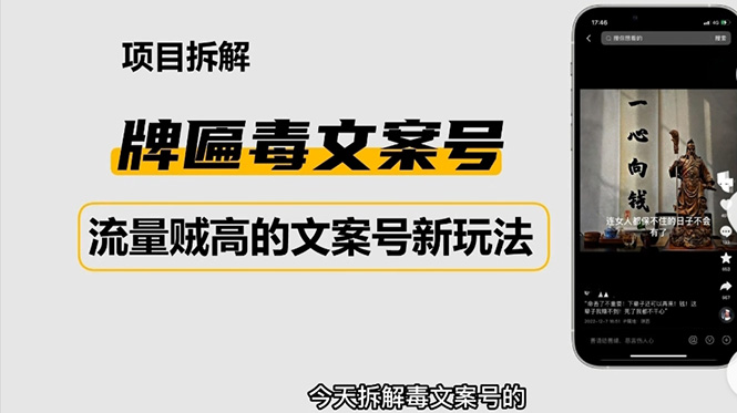 （4676期）2023抖音快手毒文案新玩法，牌匾文案号，起号快易变现-<a href=