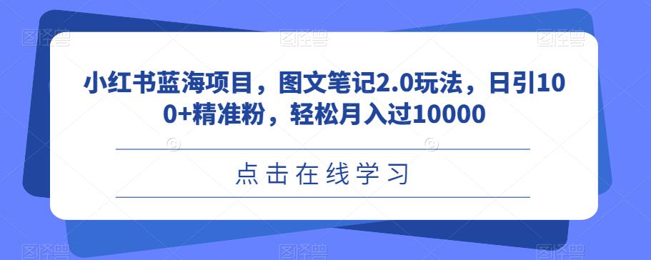 小红书蓝海项目，图文笔记2.0玩法，日引100+精准粉，轻松月入过10000【揭秘】-<a href=