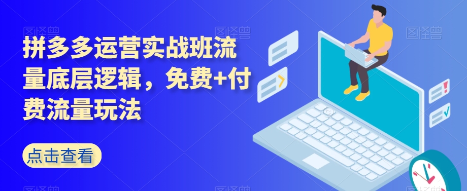 拼多多运营实战班流量底层逻辑，免费+付费流量玩法-<a href=