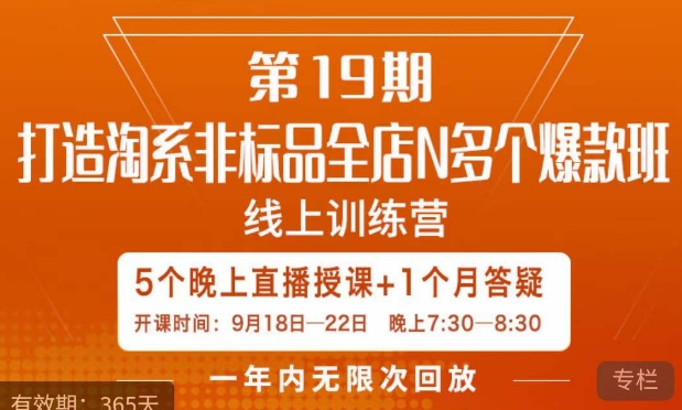 打造淘系非标全店N多个爆款线上课，​5天直播课-<a href=