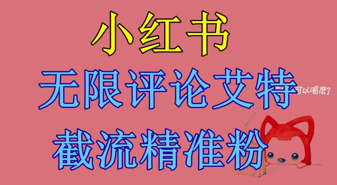 小红书无限评论艾特截流精准粉（软件+教程）-<a href=
