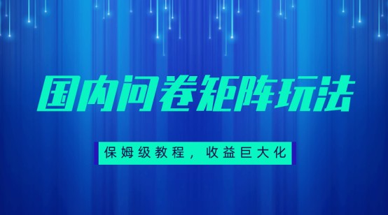 保姆级教程，国内问卷矩阵玩法，轻松赚收益-<a href=
