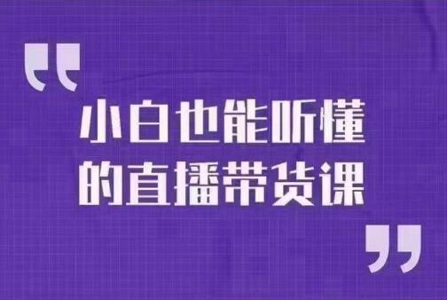 大威本威·小白也能听懂的直播带货课，玩转直播带货，轻松出单-<a href=