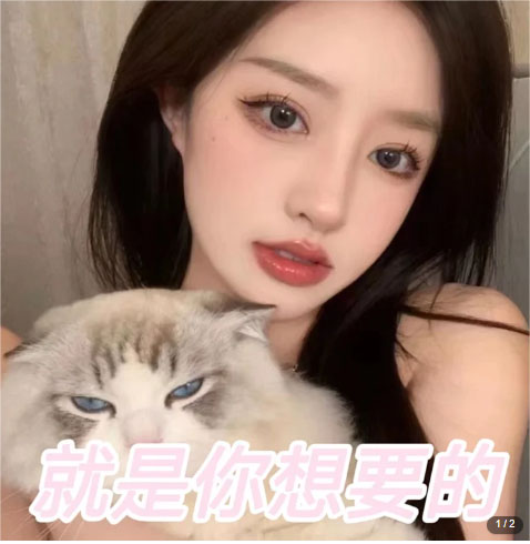 （5273期）微信交友变现项目，吸引全网LSP男粉精准变现，小白也能轻松上手，日入500+-<a href=